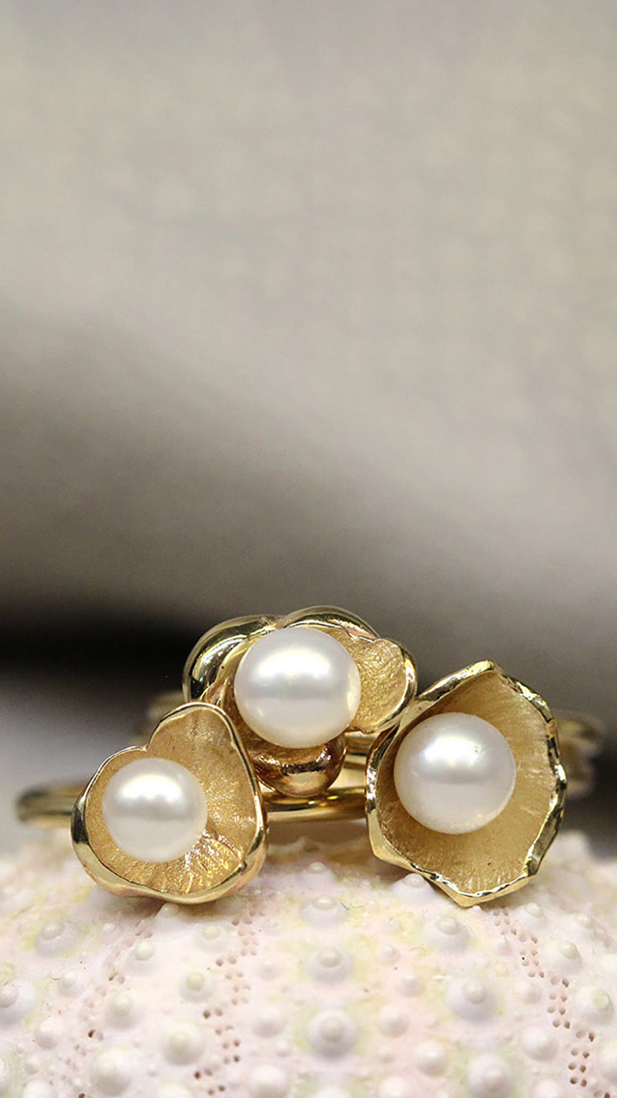 Pearl and gold rings on shell background